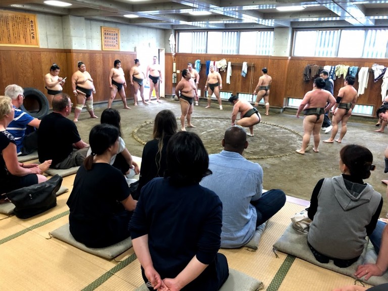 sumo morning training tour